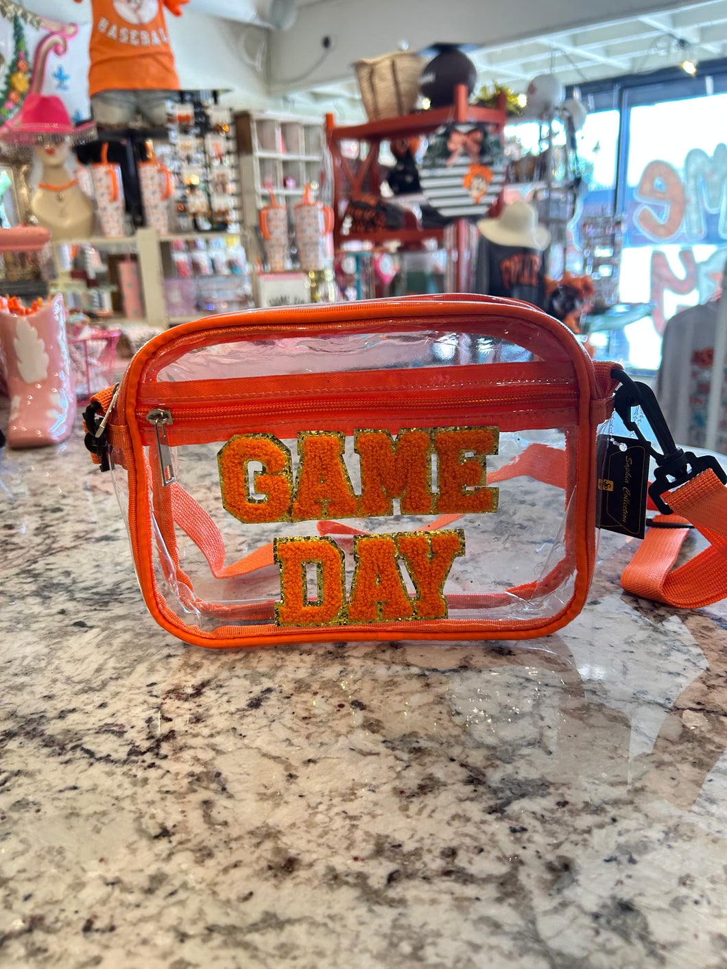 Clear Game Day Bag